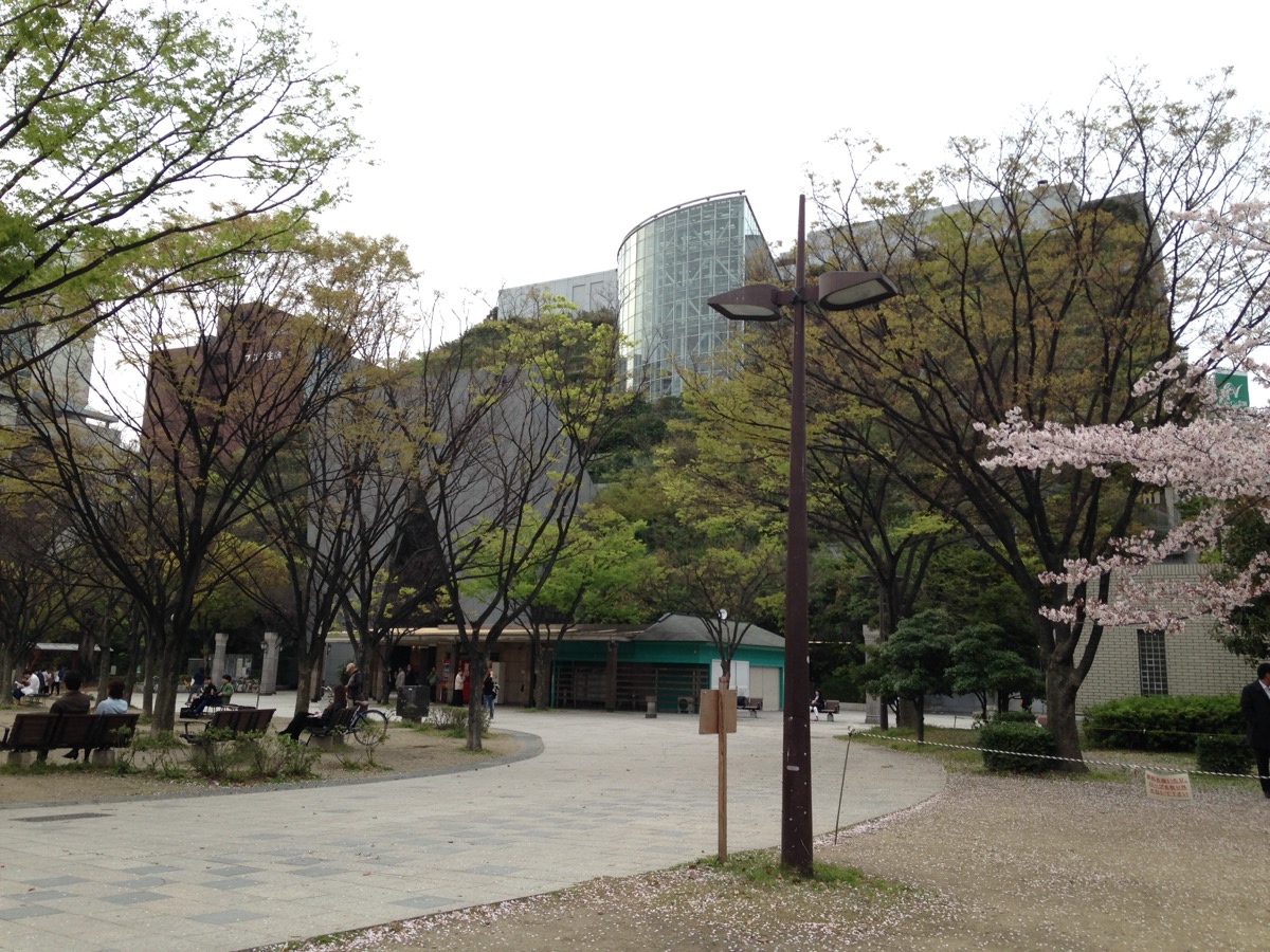 天神中央公園から望むアクロス福岡。緑化されたステップガーデンが特徴的な福岡・天神のランドマーク