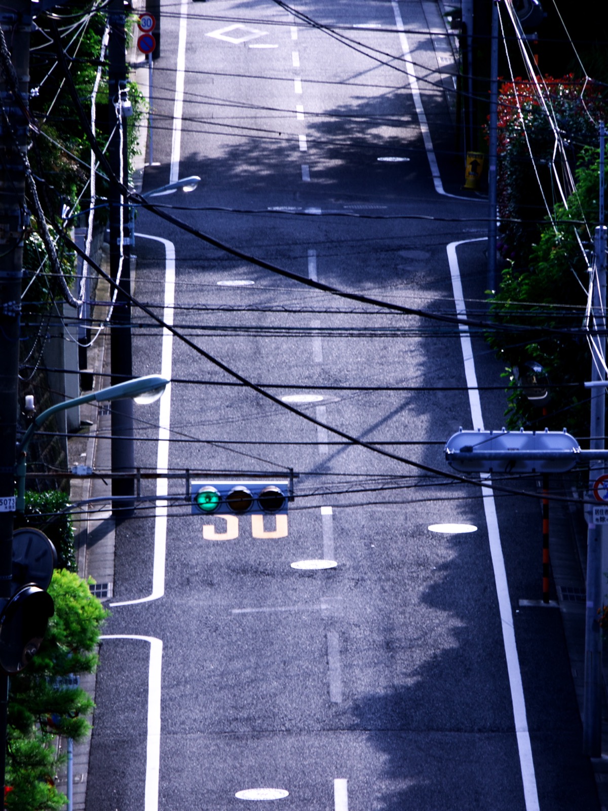 東京都大田区田園調布の閑静な住宅街